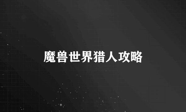 魔兽世界猎人攻略