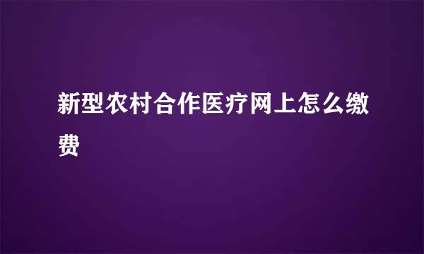 新型农村合作医疗网上怎么缴费