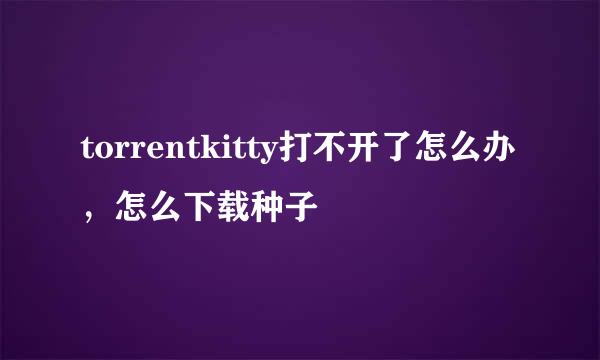 torrentkitty打不开了怎么办，怎么下载种子