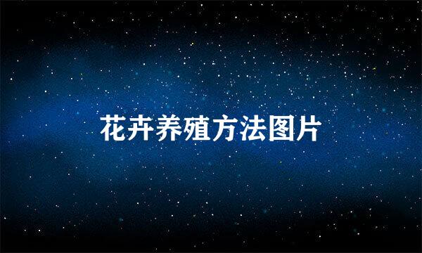 花卉养殖方法图片