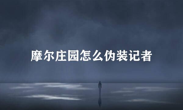 摩尔庄园怎么伪装记者