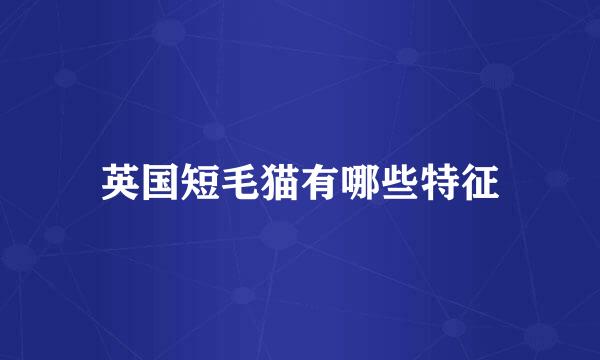 英国短毛猫有哪些特征