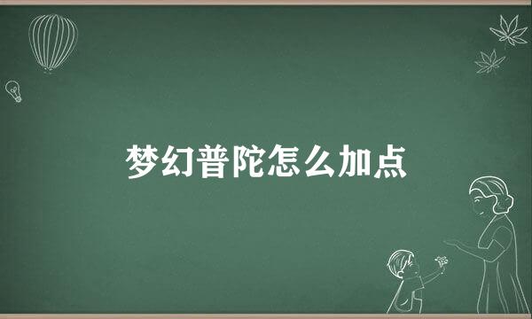 梦幻普陀怎么加点