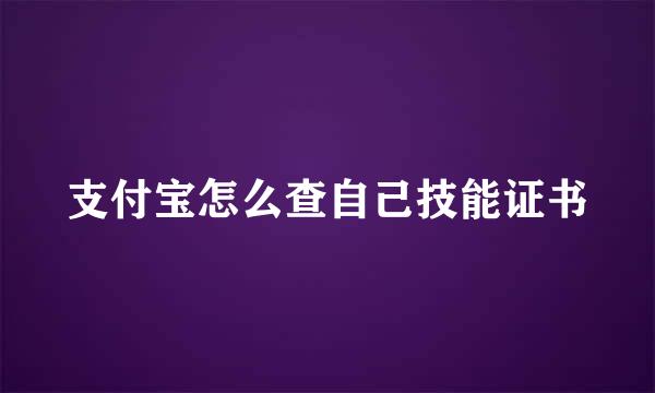 支付宝怎么查自己技能证书