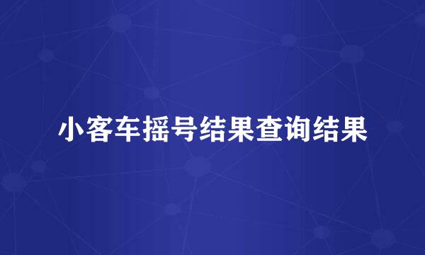 小客车摇号结果查询结果