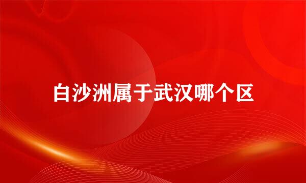 白沙洲属于武汉哪个区
