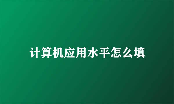 计算机应用水平怎么填