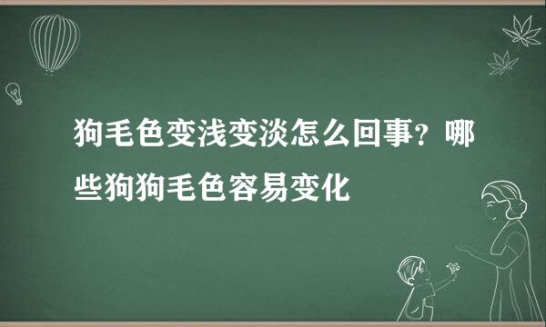狗毛色变浅变淡怎么回事？哪些狗狗毛色容易变化