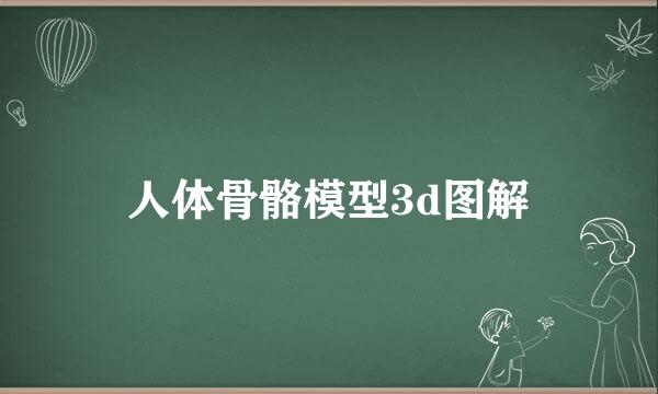 人体骨骼模型3d图解
