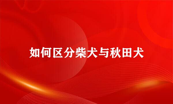如何区分柴犬与秋田犬
