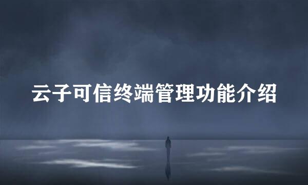 云子可信终端管理功能介绍