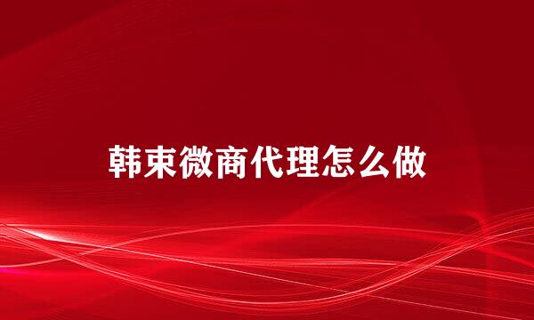 韩束微商代理怎么做