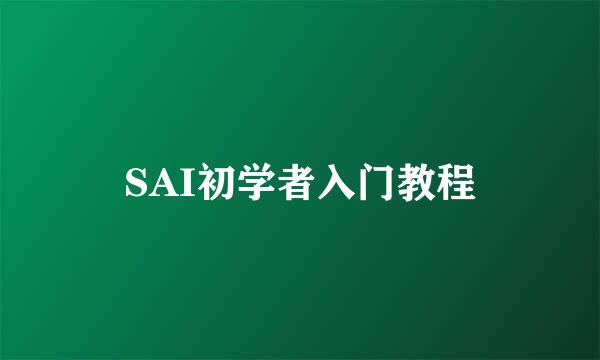 SAI初学者入门教程