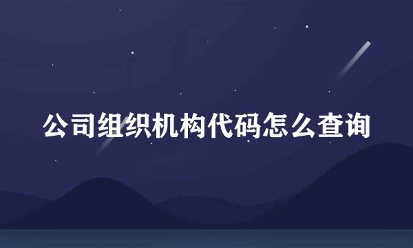 公司组织机构代码怎么查询