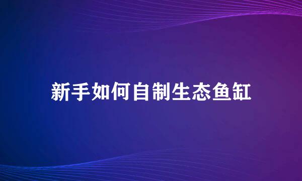 新手如何自制生态鱼缸