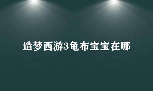 造梦西游3龟布宝宝在哪