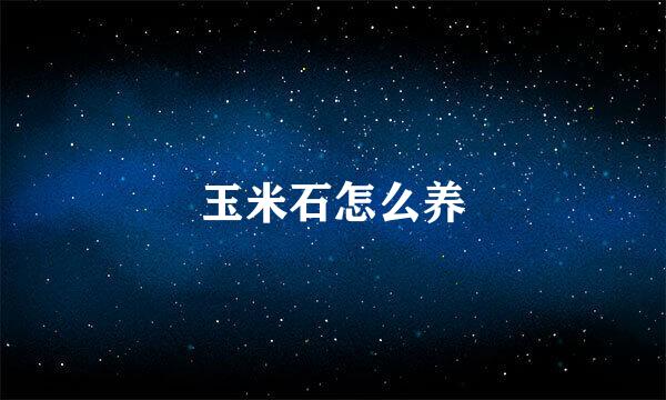 玉米石怎么养