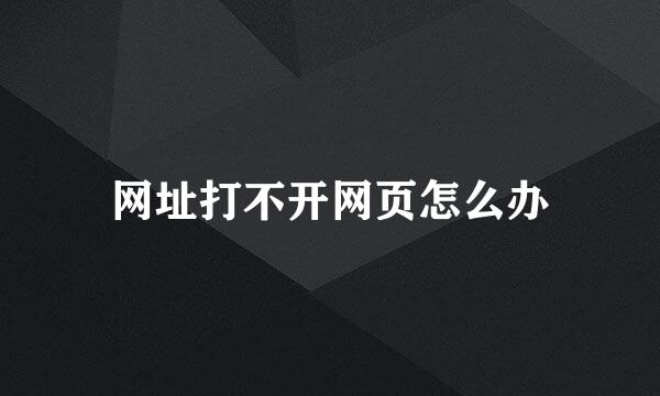 网址打不开网页怎么办