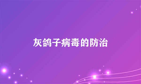灰鸽子病毒的防治