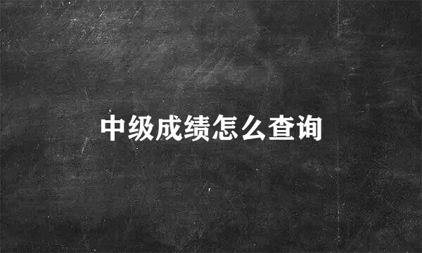 中级成绩怎么查询