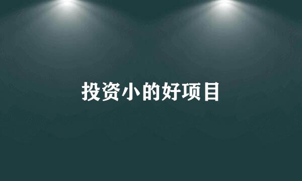 投资小的好项目