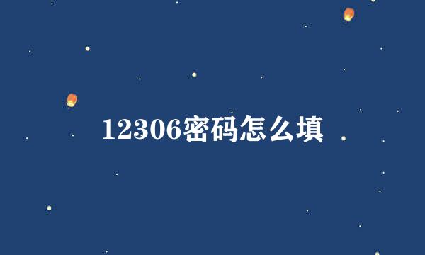 12306密码怎么填