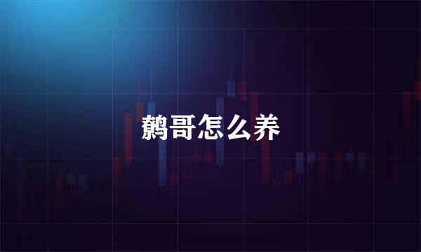 鹩哥怎么养