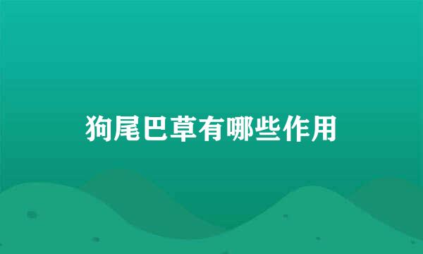 狗尾巴草有哪些作用