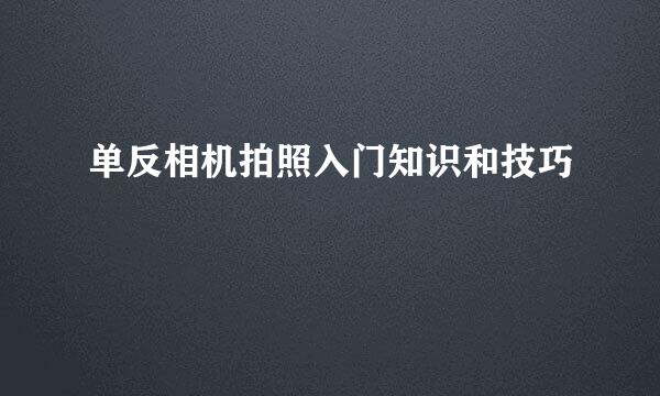 单反相机拍照入门知识和技巧