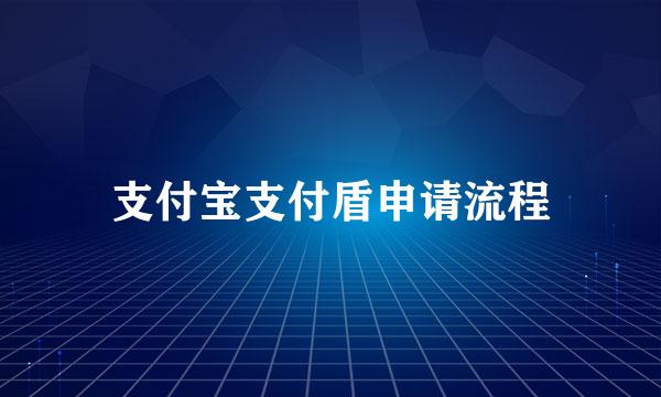 支付宝支付盾申请流程