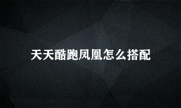 天天酷跑凤凰怎么搭配