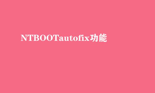 NTBOOTautofix功能