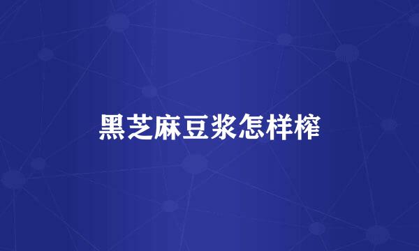 黑芝麻豆浆怎样榨