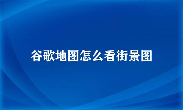 谷歌地图怎么看街景图