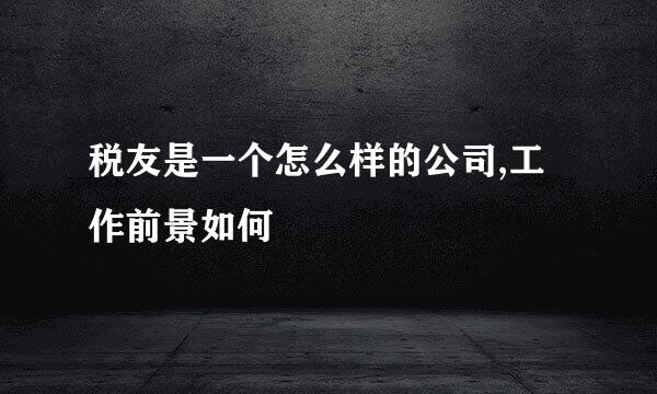 税友是一个怎么样的公司,工作前景如何