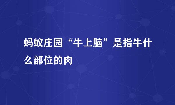 蚂蚁庄园“牛上脑”是指牛什么部位的肉