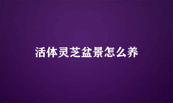活体灵芝盆景怎么养