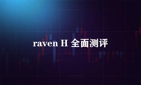 raven H 全面测评