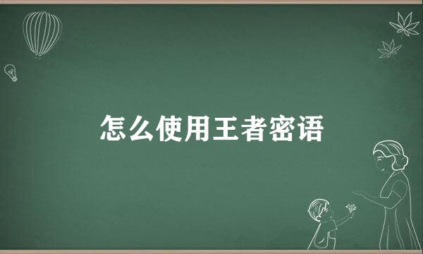 怎么使用王者密语
