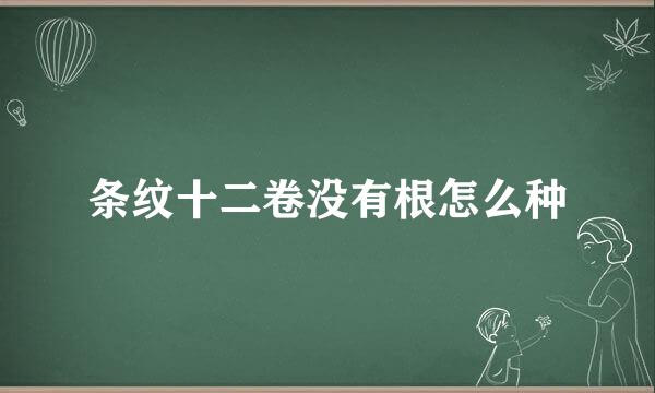 条纹十二卷没有根怎么种