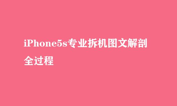 iPhone5s专业拆机图文解剖全过程