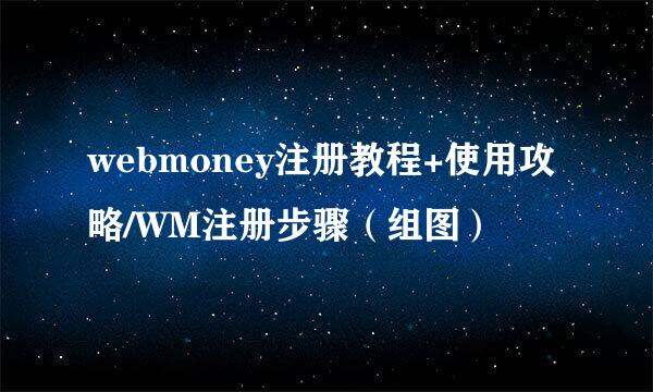 webmoney注册教程+使用攻略/WM注册步骤（组图）