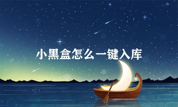 小黑盒怎么一键入库