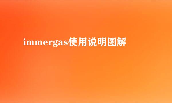 immergas使用说明图解