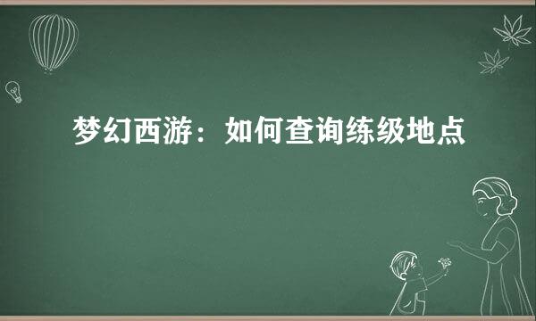梦幻西游：如何查询练级地点