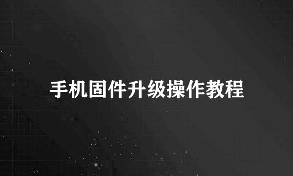 手机固件升级操作教程