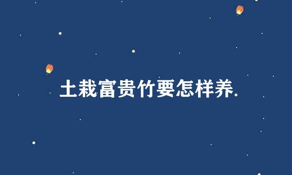 土栽富贵竹要怎样养