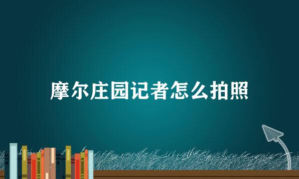 摩尔庄园记者怎么拍照