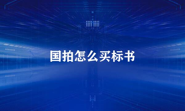 国拍怎么买标书