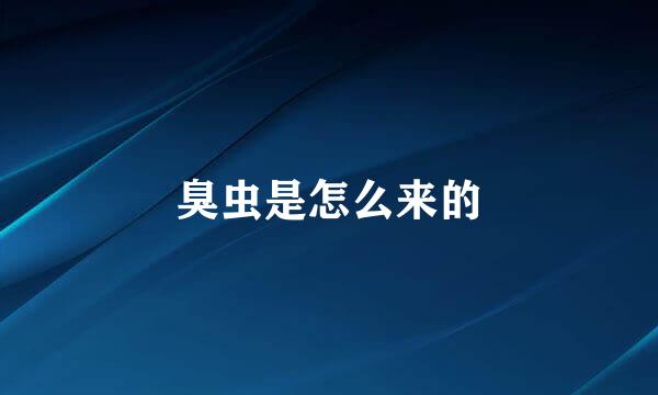 臭虫是怎么来的